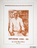 Informe 1986-90