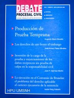 Debate procesal civil